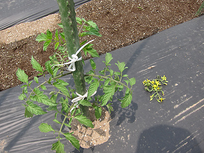 f140525_IMG_0409